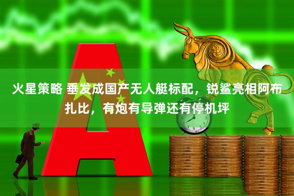 火星策略 垂发成国产无人艇标配，锐鲨亮相阿布扎比，有炮有导弹还有停机坪